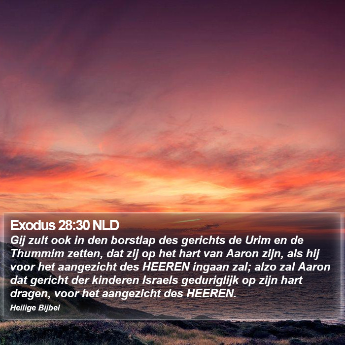 Exodus 28:30 NLD Bible Study