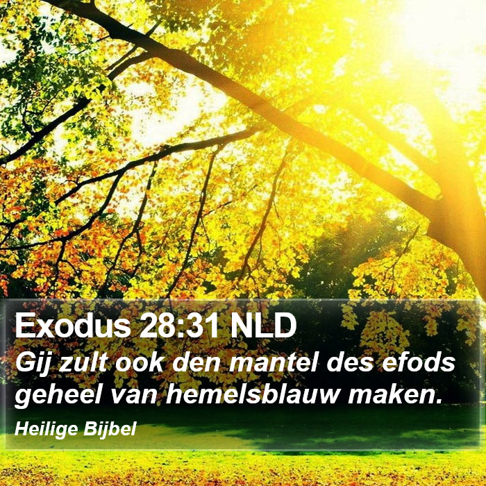 Exodus 28:31 NLD Bible Study