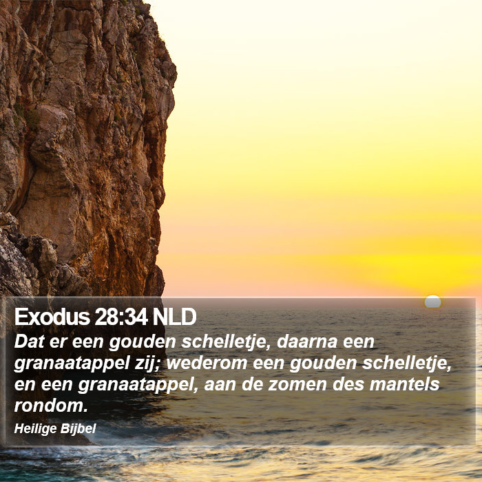 Exodus 28:34 NLD Bible Study