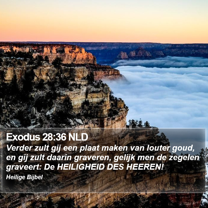 Exodus 28:36 NLD Bible Study