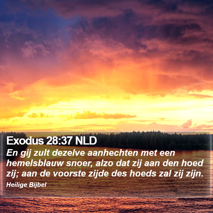 Exodus 28:37 NLD Bible Study