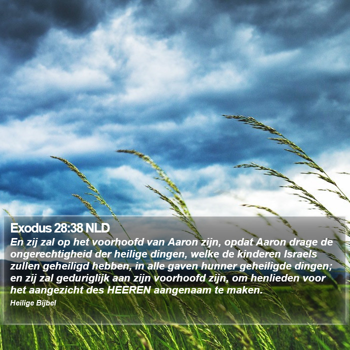 Exodus 28:38 NLD Bible Study