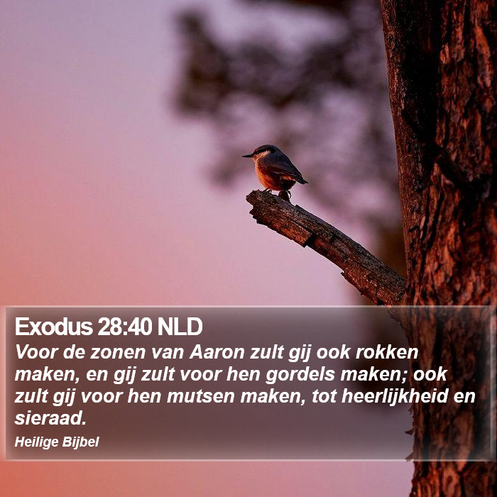 Exodus 28:40 NLD Bible Study