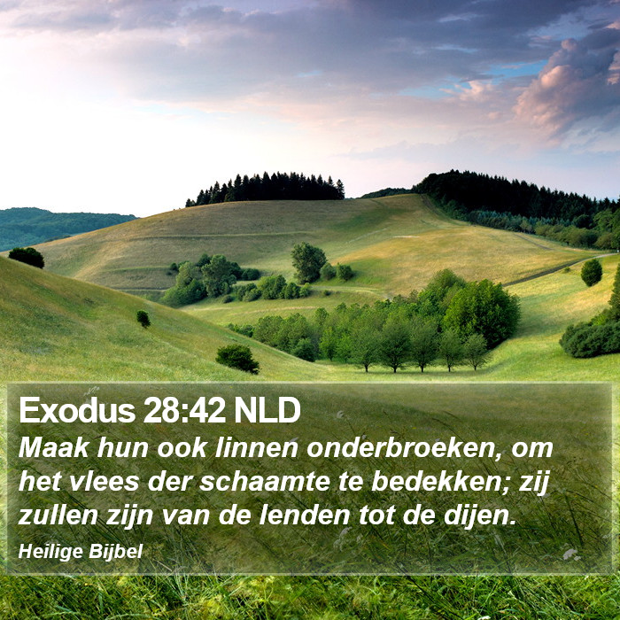 Exodus 28:42 NLD Bible Study