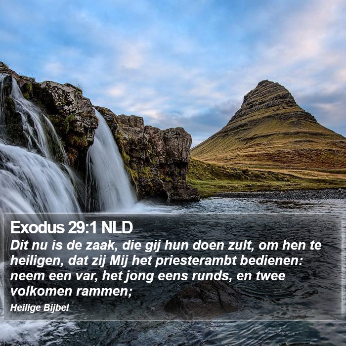 Exodus 29:1 NLD Bible Study