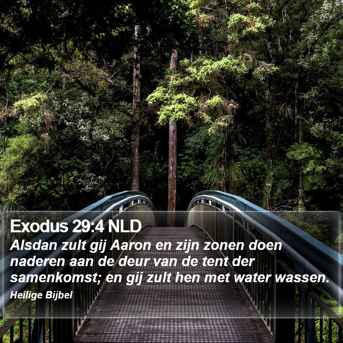 Exodus 29:4 NLD Bible Study