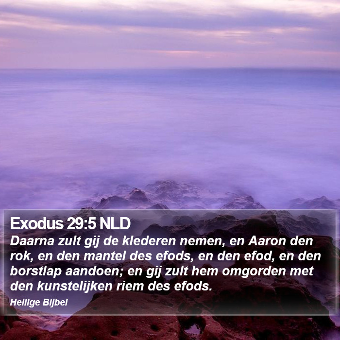 Exodus 29:5 NLD Bible Study