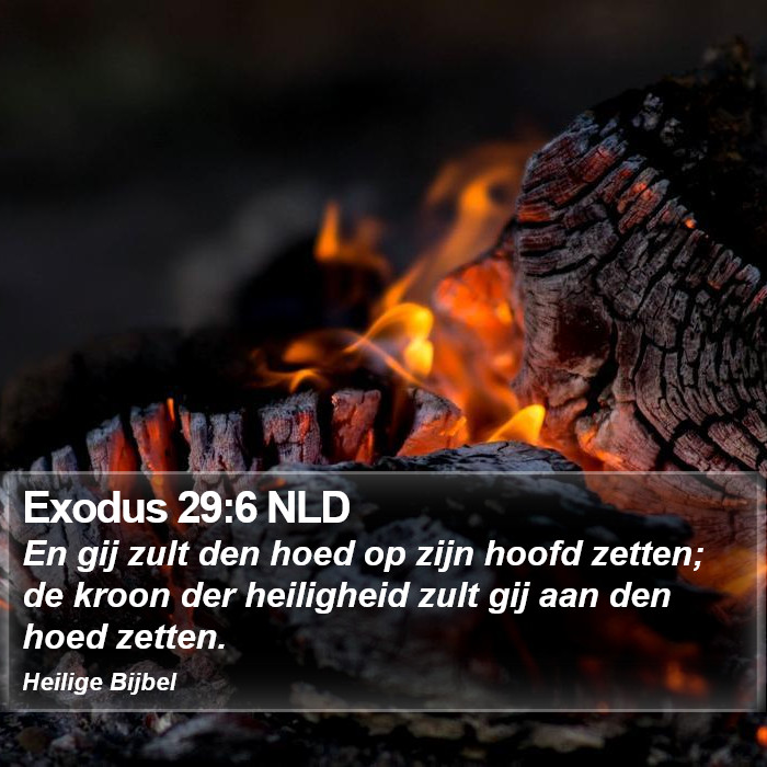 Exodus 29:6 NLD Bible Study