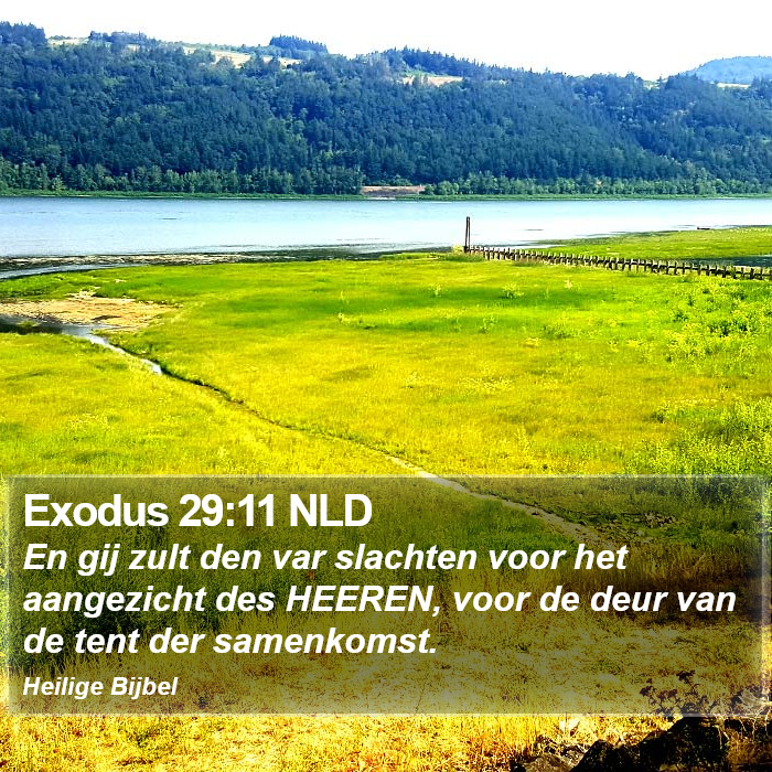 Exodus 29:11 NLD Bible Study