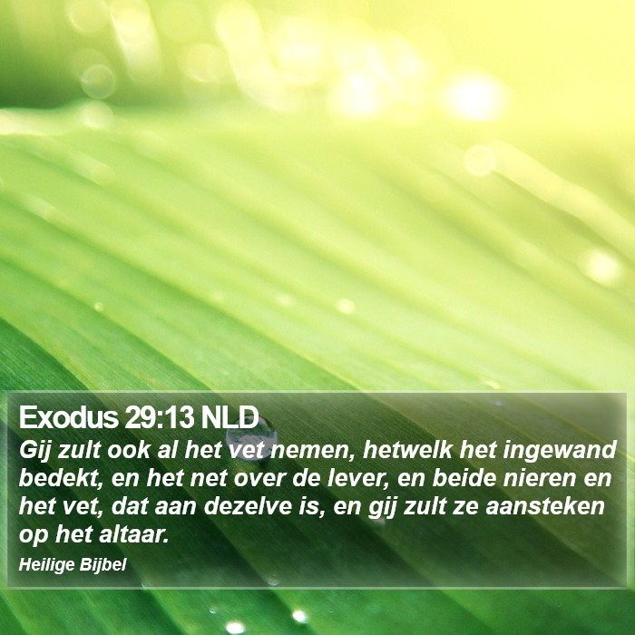 Exodus 29:13 NLD Bible Study