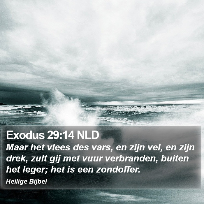 Exodus 29:14 NLD Bible Study