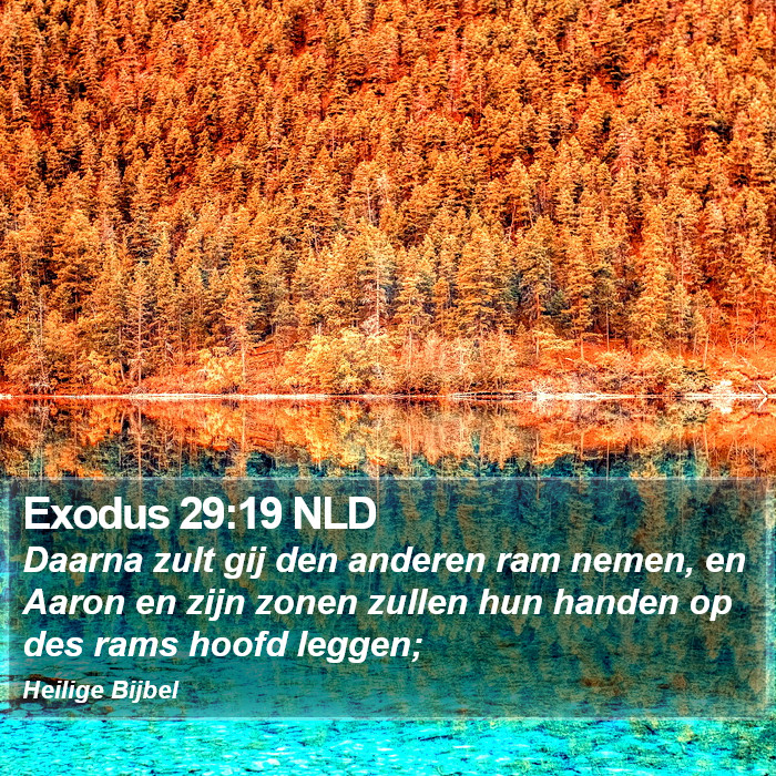 Exodus 29:19 NLD Bible Study