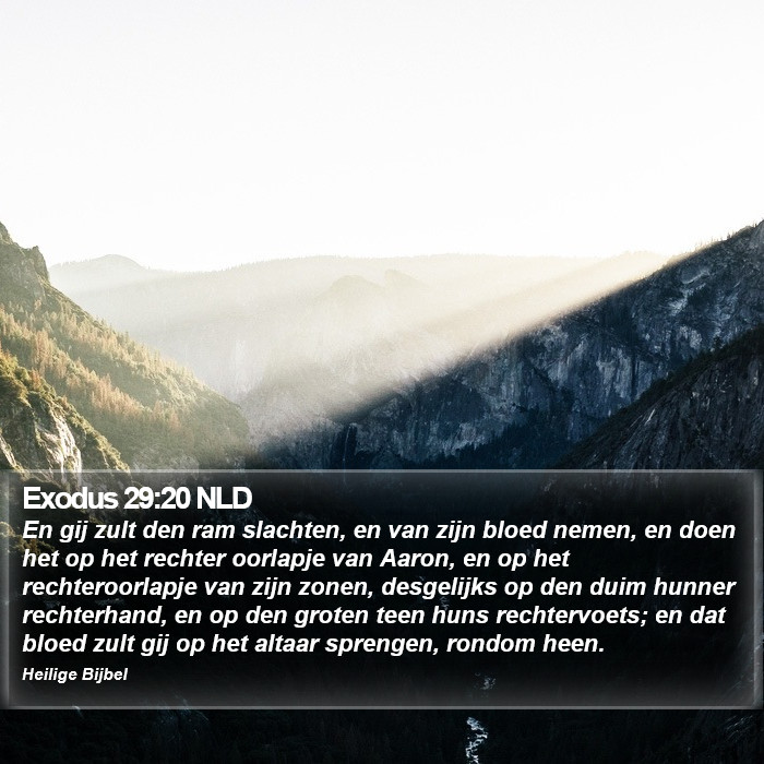 Exodus 29:20 NLD Bible Study
