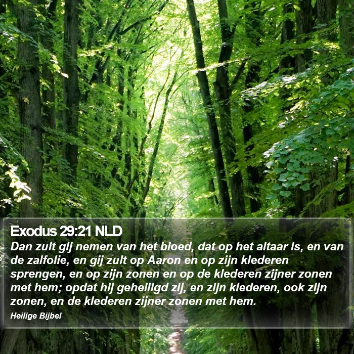 Exodus 29:21 NLD Bible Study