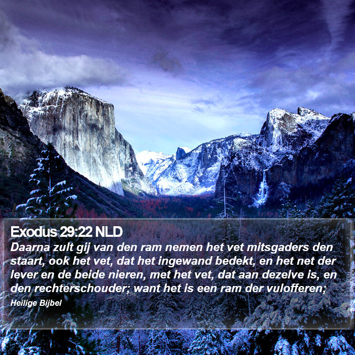 Exodus 29:22 NLD Bible Study