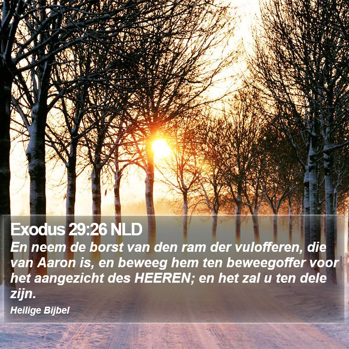 Exodus 29:26 NLD Bible Study
