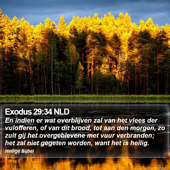 Exodus 29:34 NLD Bible Study