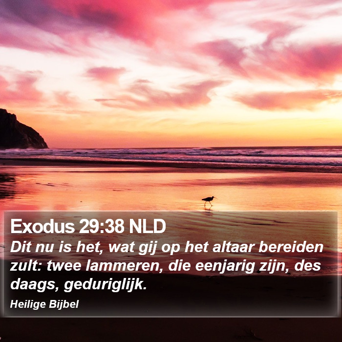Exodus 29:38 NLD Bible Study