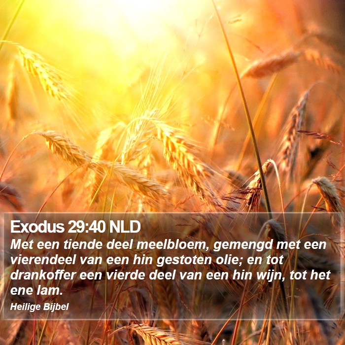 Exodus 29:40 NLD Bible Study