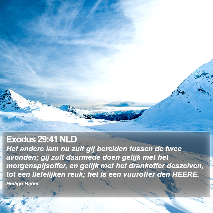 Exodus 29:41 NLD Bible Study