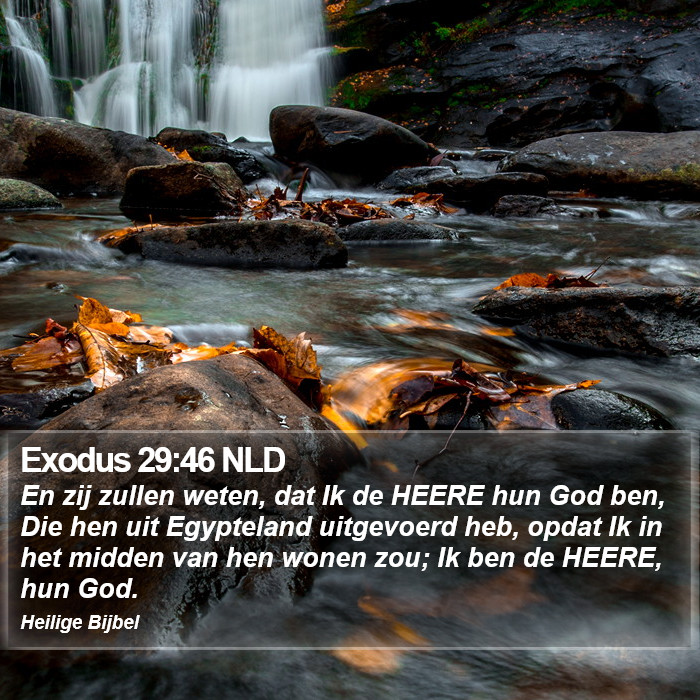 Exodus 29:46 NLD Bible Study