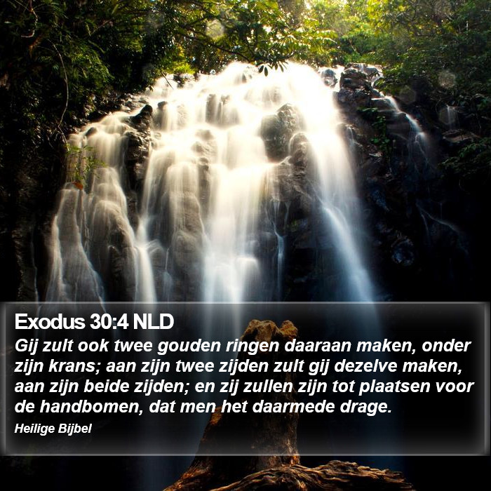 Exodus 30:4 NLD Bible Study