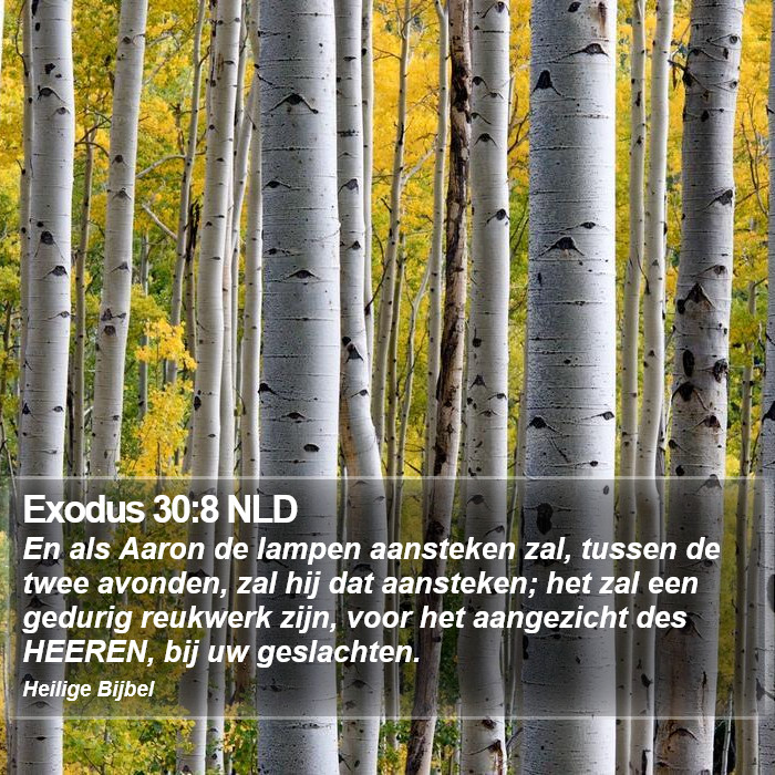 Exodus 30:8 NLD Bible Study