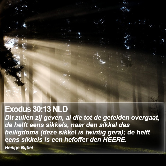 Exodus 30:13 NLD Bible Study