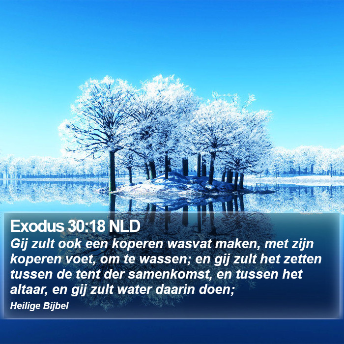 Exodus 30:18 NLD Bible Study