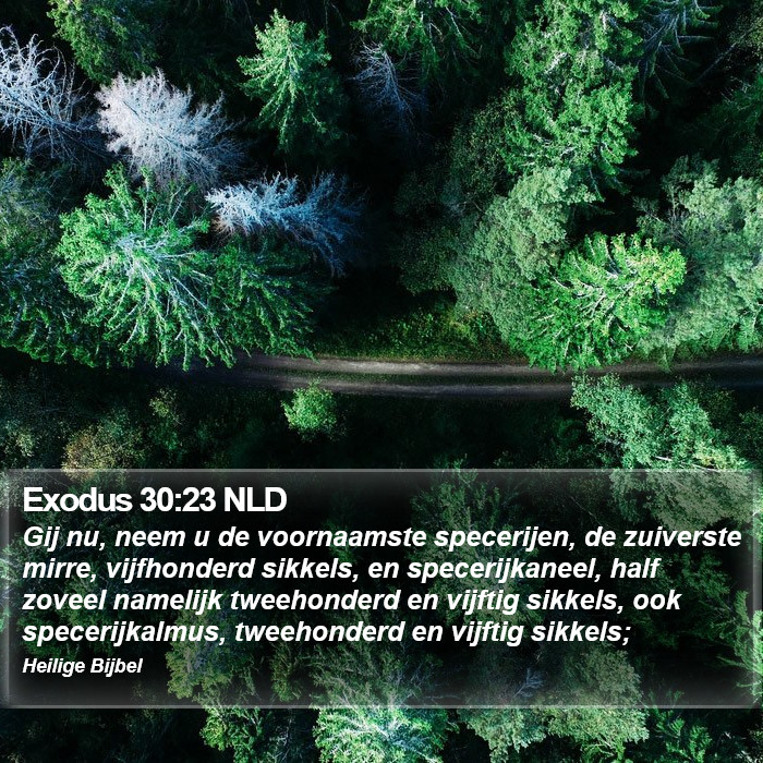 Exodus 30:23 NLD Bible Study