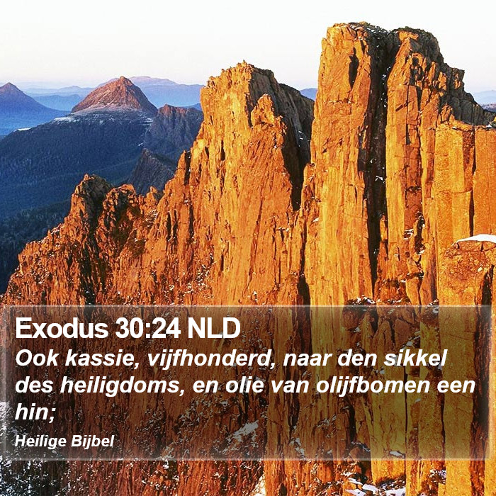 Exodus 30:24 NLD Bible Study