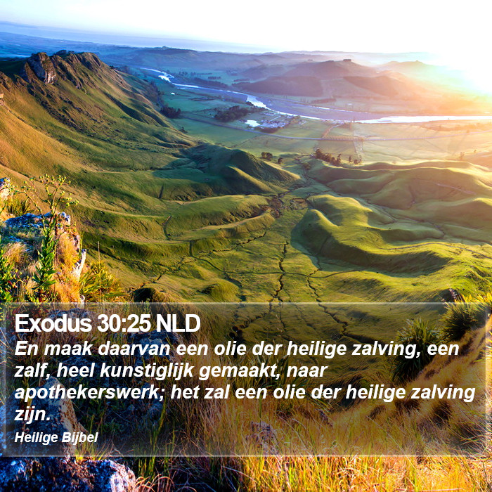 Exodus 30:25 NLD Bible Study