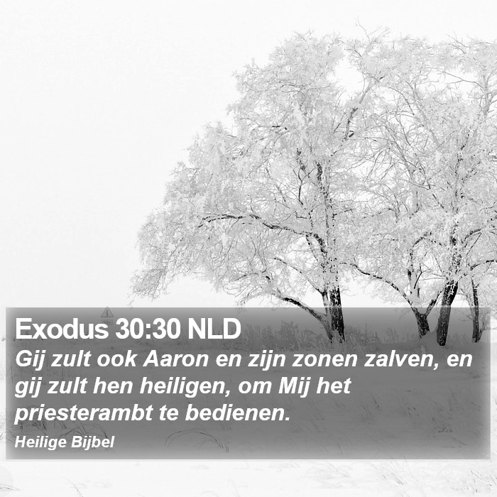 Exodus 30:30 NLD Bible Study