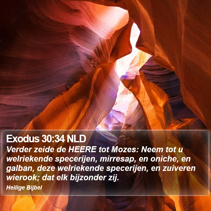 Exodus 30:34 NLD Bible Study