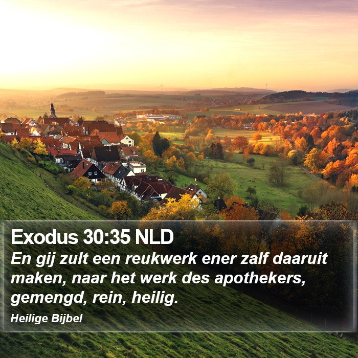 Exodus 30:35 NLD Bible Study