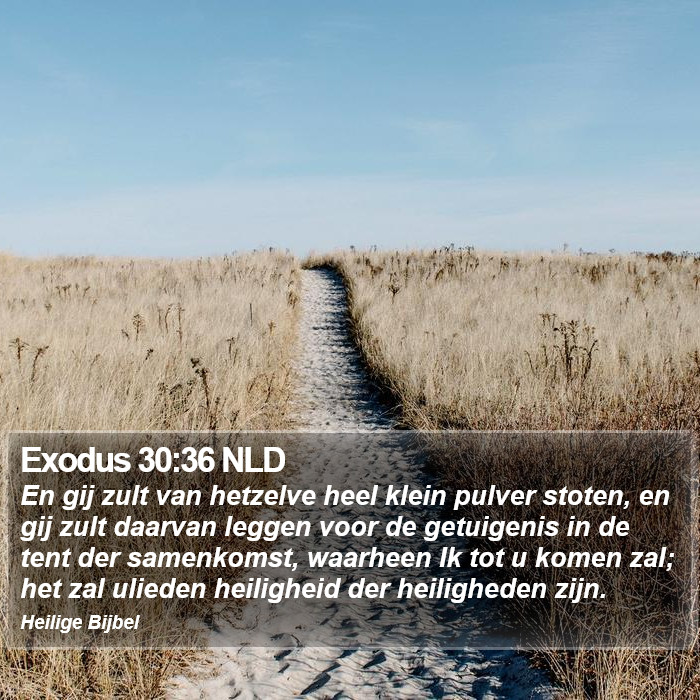 Exodus 30:36 NLD Bible Study