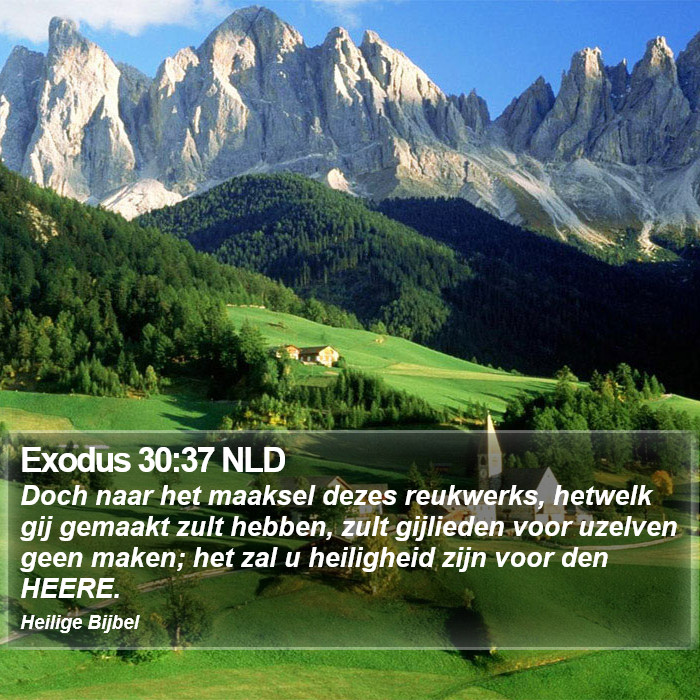 Exodus 30:37 NLD Bible Study