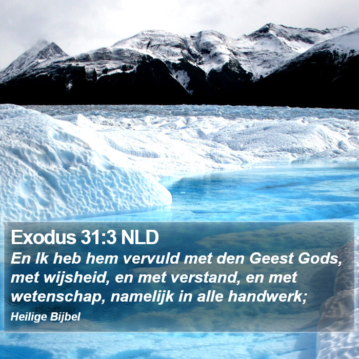 Exodus 31:3 NLD Bible Study