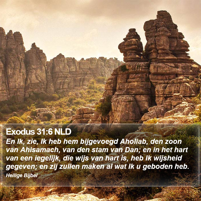 Exodus 31:6 NLD Bible Study