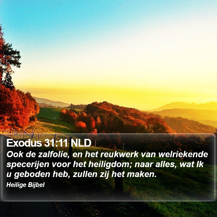 Exodus 31:11 NLD Bible Study