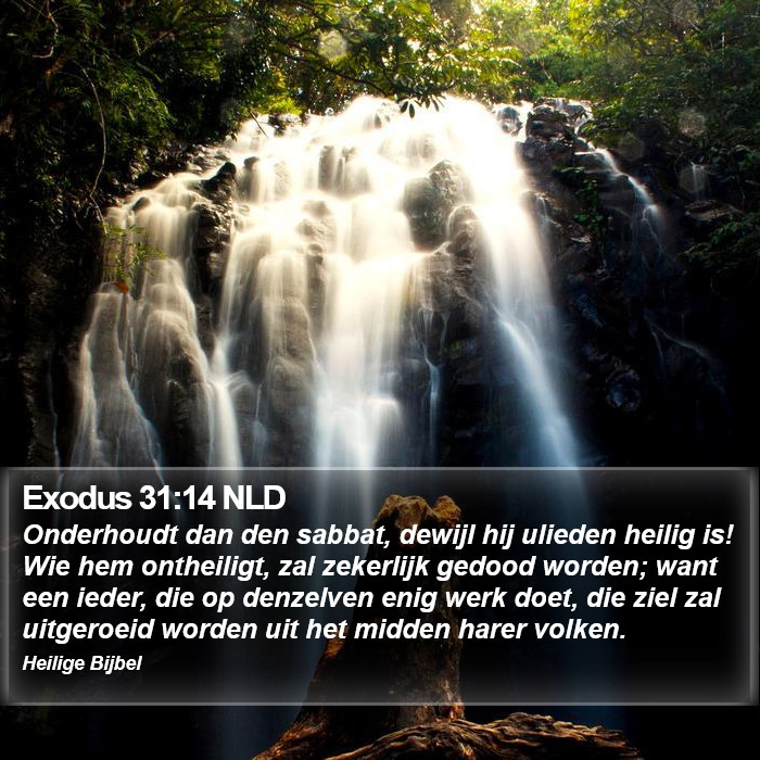 Exodus 31:14 NLD Bible Study