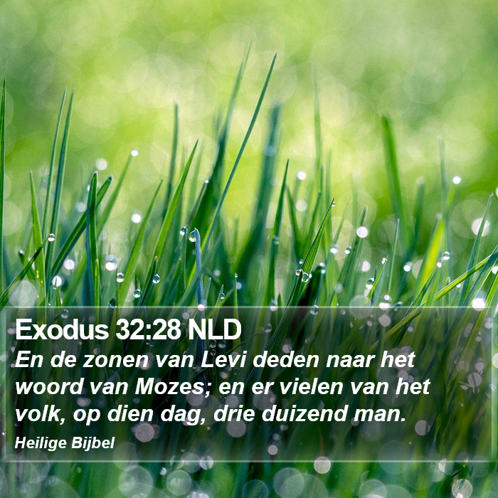 Exodus 32:28 NLD Bible Study