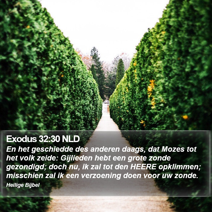 Exodus 32:30 NLD Bible Study