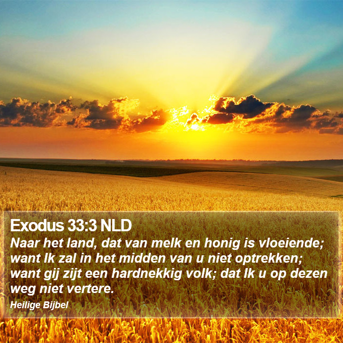 Exodus 33:3 NLD Bible Study