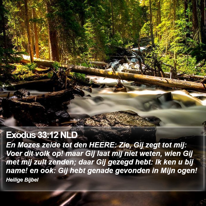 Exodus 33:12 NLD Bible Study