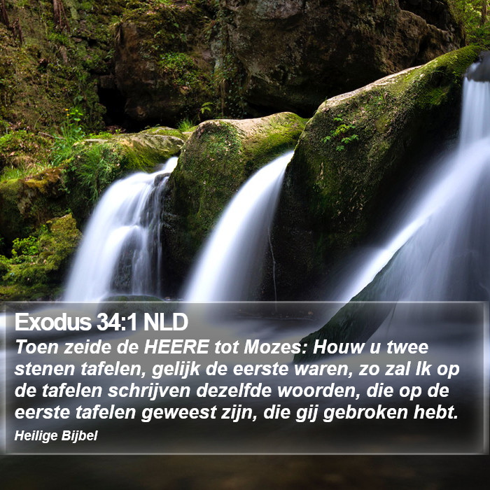 Exodus 34:1 NLD Bible Study