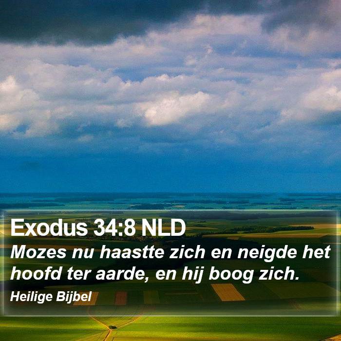 Exodus 34:8 NLD Bible Study