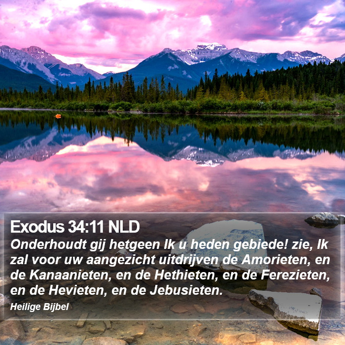 Exodus 34:11 NLD Bible Study