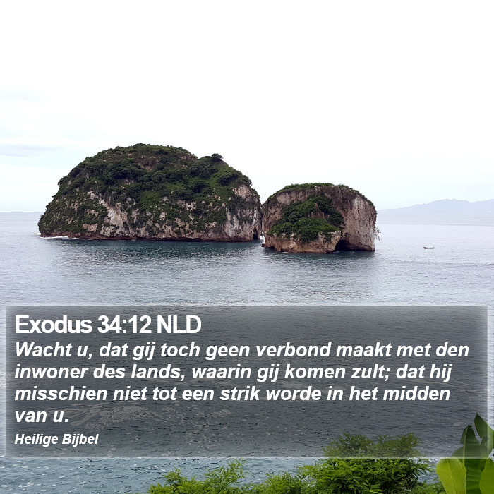 Exodus 34:12 NLD Bible Study