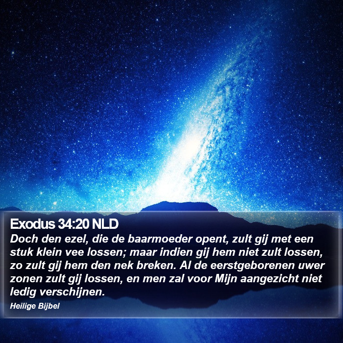 Exodus 34:20 NLD Bible Study